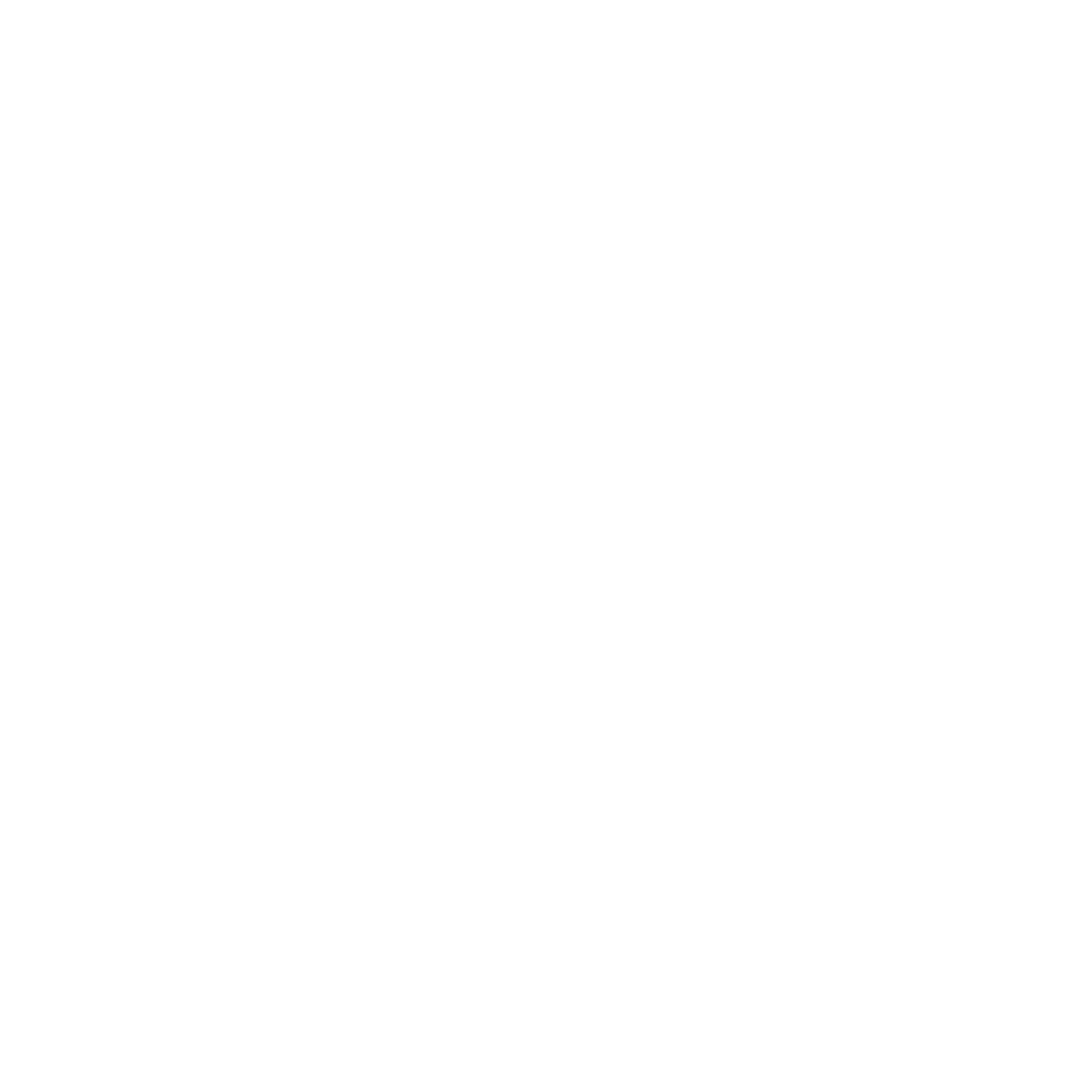 MediaTek Pentonic Logo Horizontal EN_White